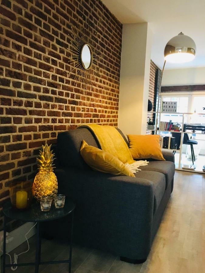 Appartement Heloise, Le Charme Du Vieux-Lille Exterior foto